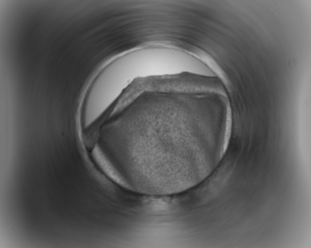X0000089700955200707201738