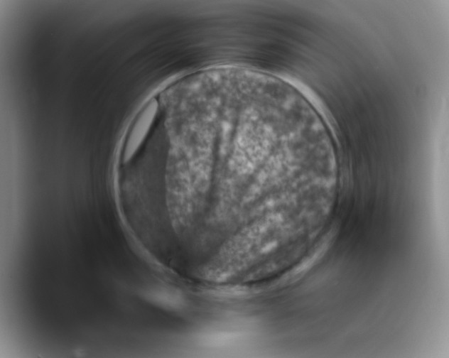 X0000089700957200707201738