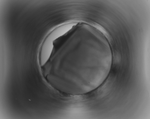 X0000089700958200707201738