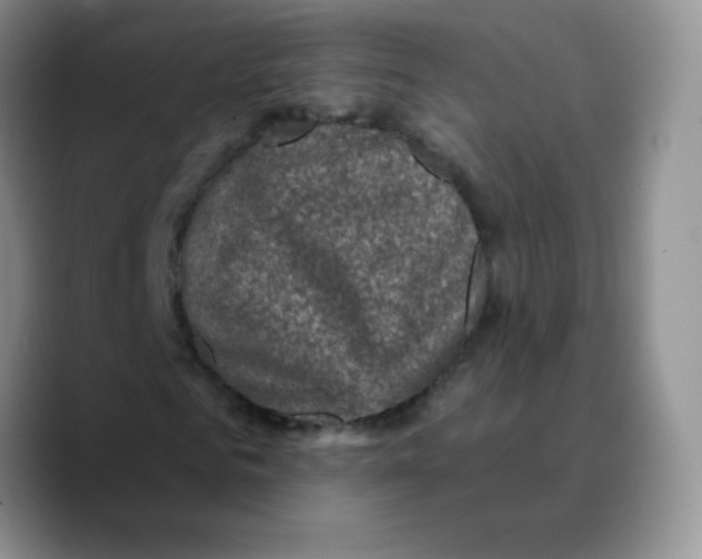 X0000089700961200707201737
