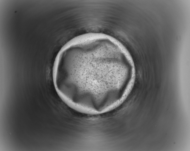 X0000089700964200707201737