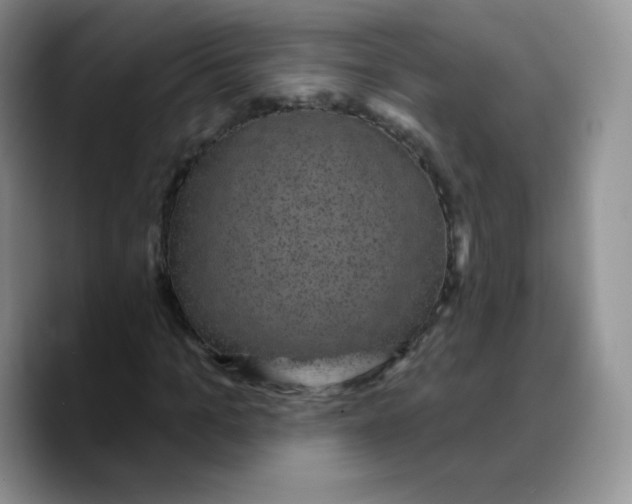X0000089700965200707201737