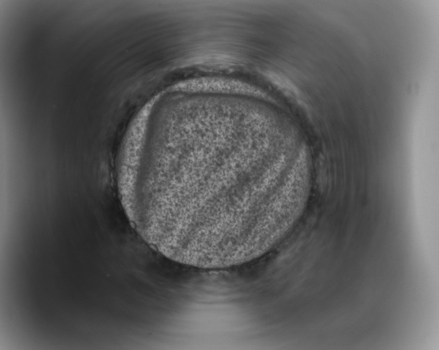 X0000089700966200707201737