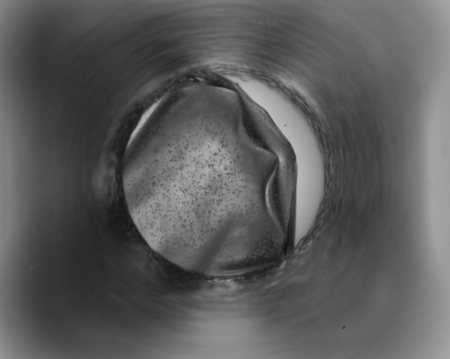 X0000089700968200707201737