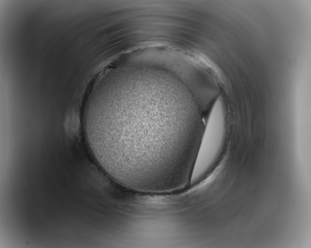 X0000089700969200707201737