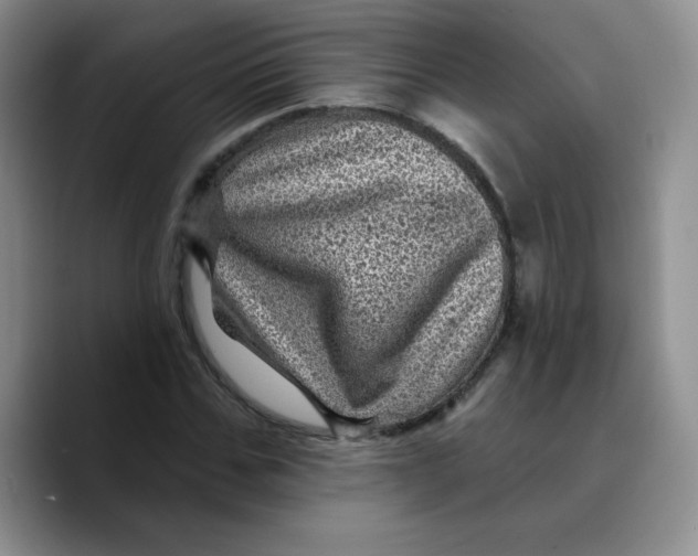 X0000089700971200707201737