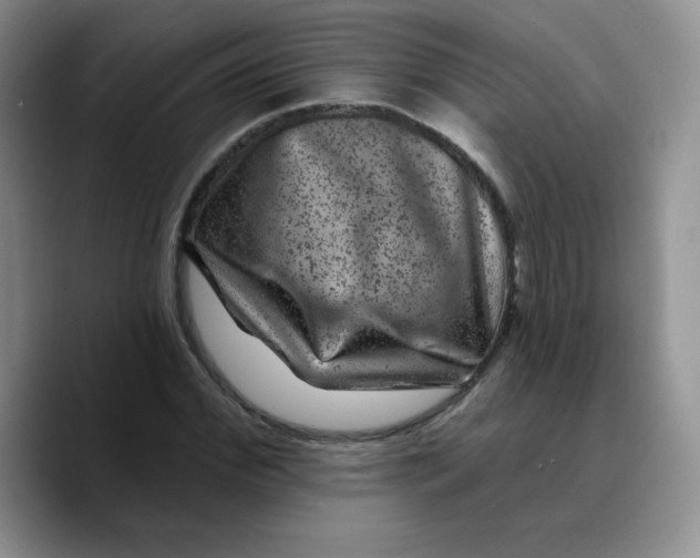 X0000089700972200707201737