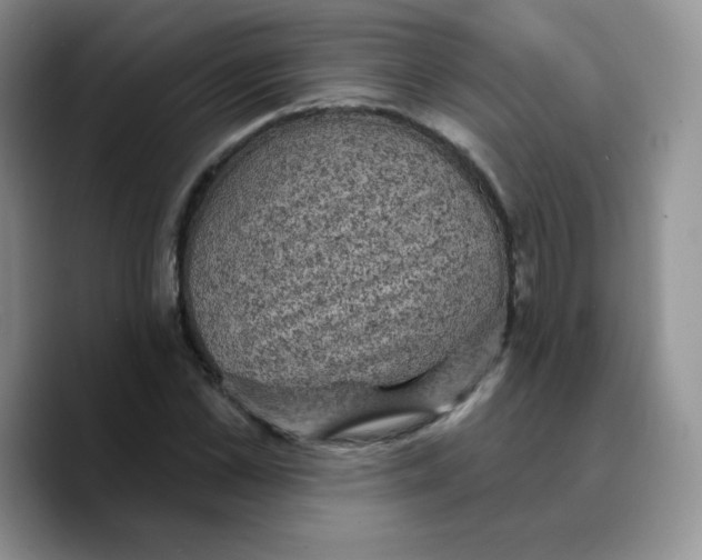 X0000089700973200707201737