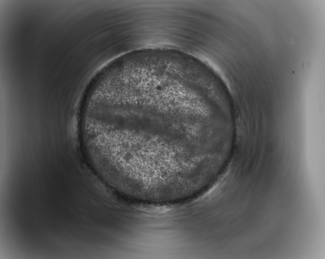 X0000089700975200707201737