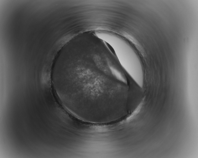 X0000089700977200707201737