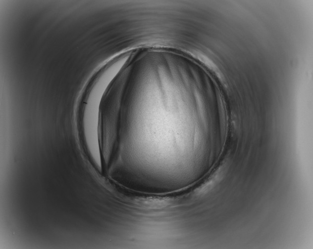 X0000089700981200707201737