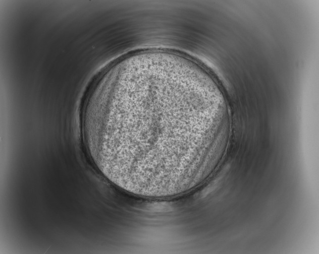 X0000089700982200707201737