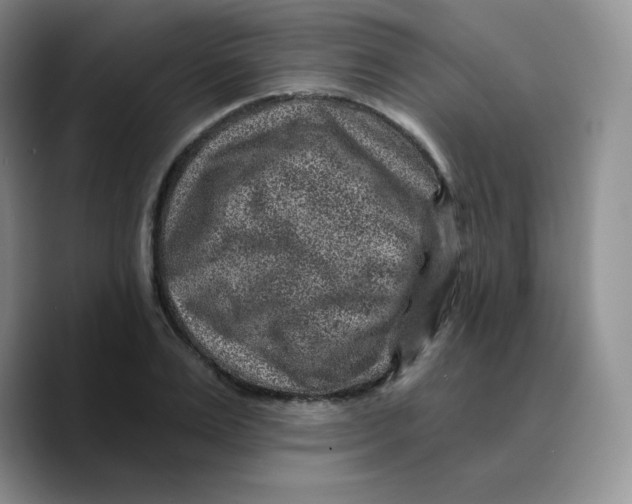 X0000089700983200707201737