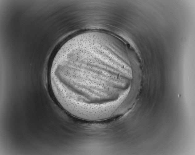 X0000089700984200707201737