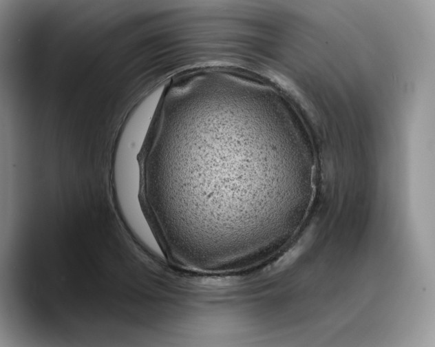 X0000089700985200707201737