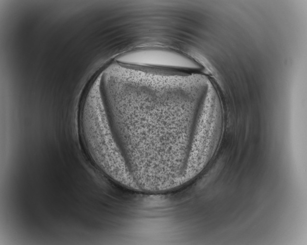 X0000089700986200707201737