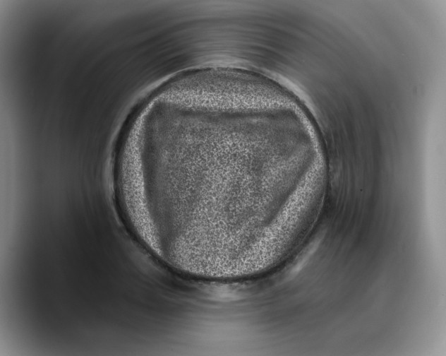 X0000089700987200707201737