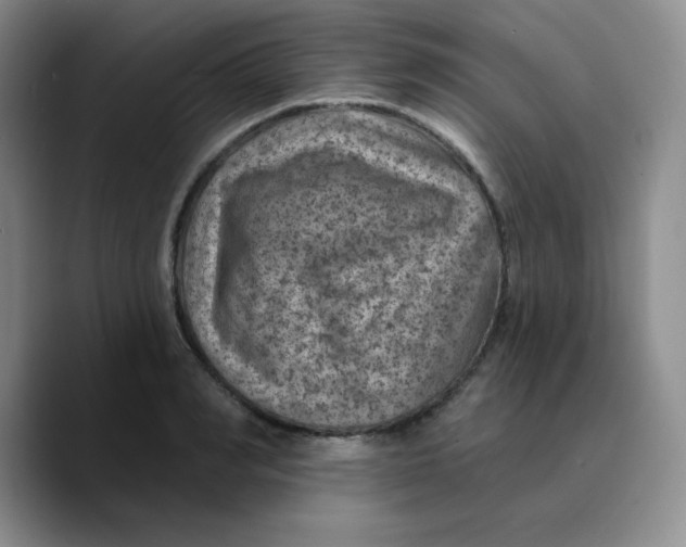 X0000089700990200707201737