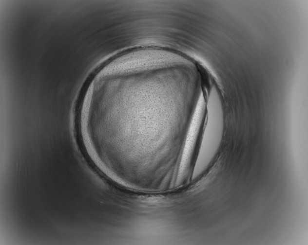 X0000089700991200707201737