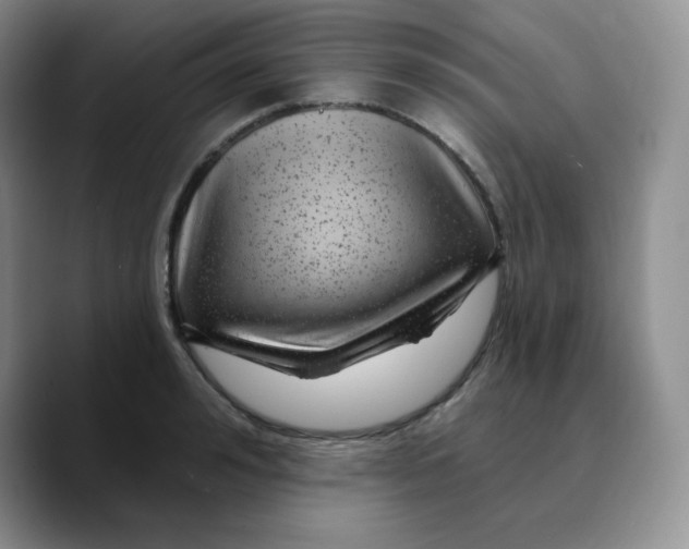 X0000089700992200707201737