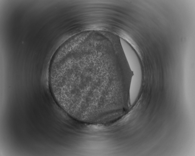 X0000089700994200707201737