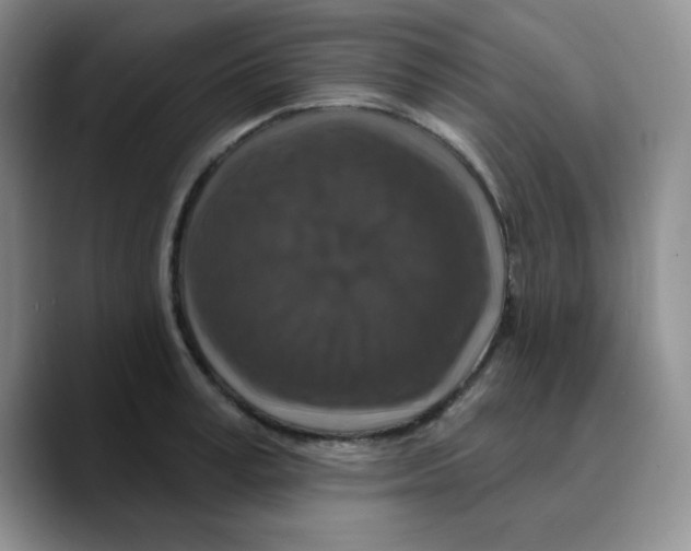 X0000089700995200707201737