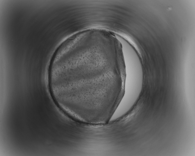 X0000089700999200707201737