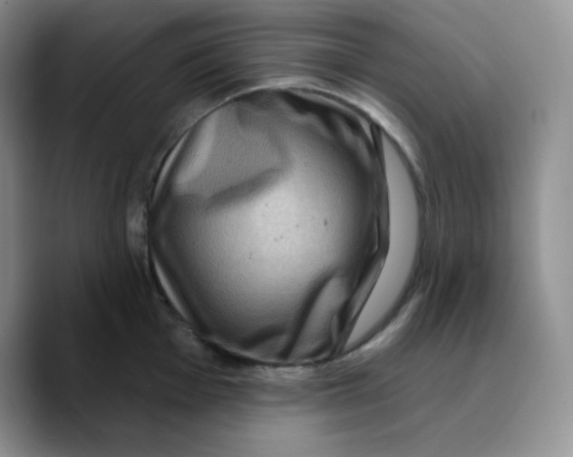 X0000089701001200707201736