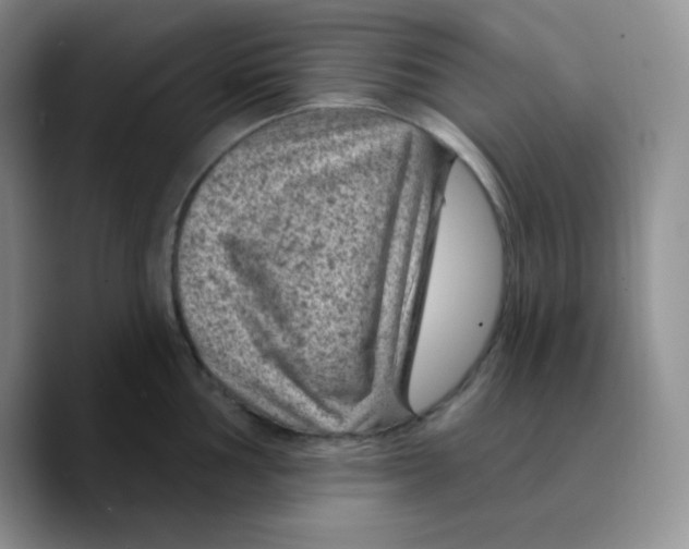 X0000089701002200707201736
