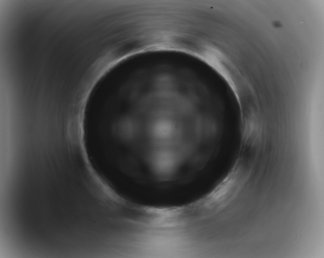 X0000089701005200707201736