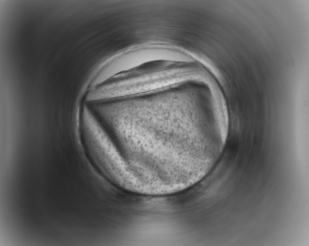 X0000089701006200707201736