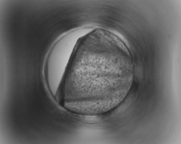 X0000089701007200707201736