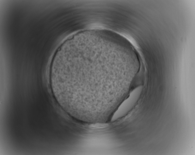 X0000089701008200707201736