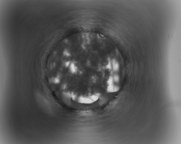 X0000089701009200707201736