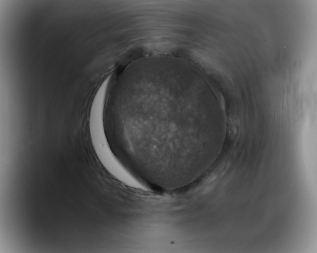 X0000089701010200707201736