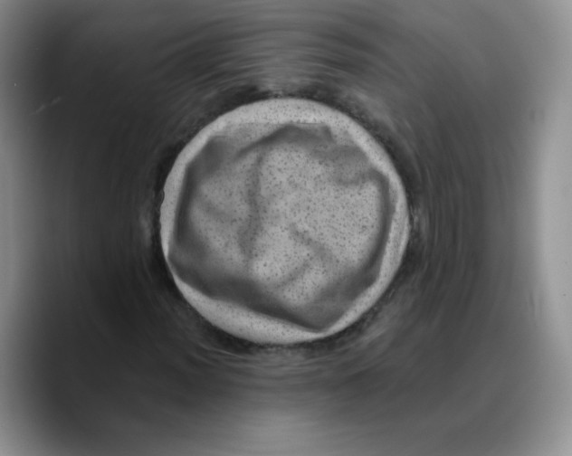 X0000089701012200707201736