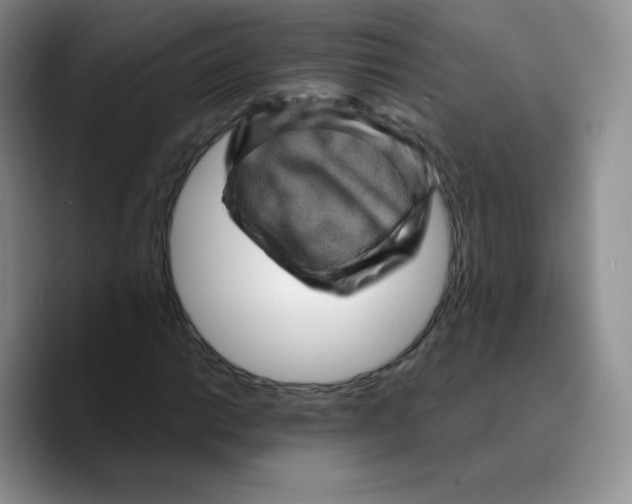 X0000089701014200707201736