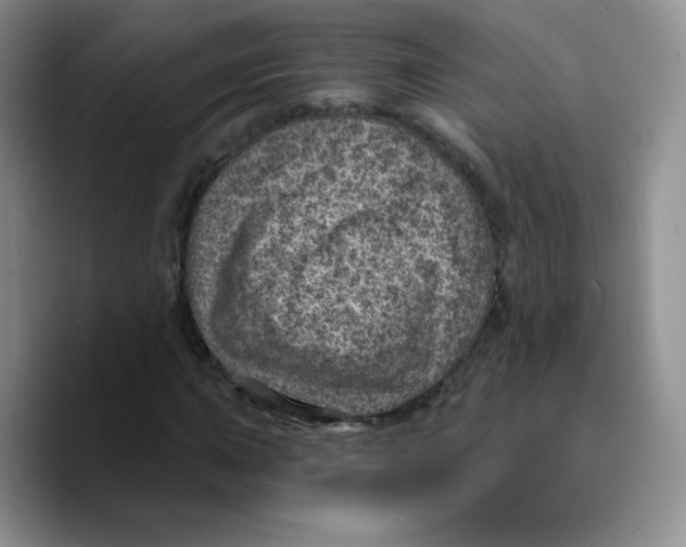 X0000089701015200707201736