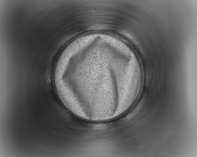 X0000089701017200707201736
