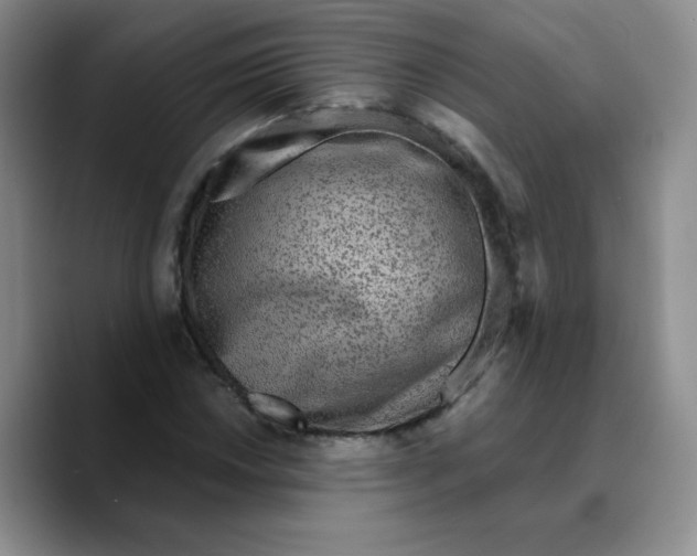 X0000089701018200707201736