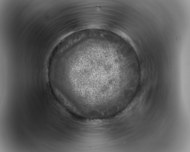 X0000089701019200707201736