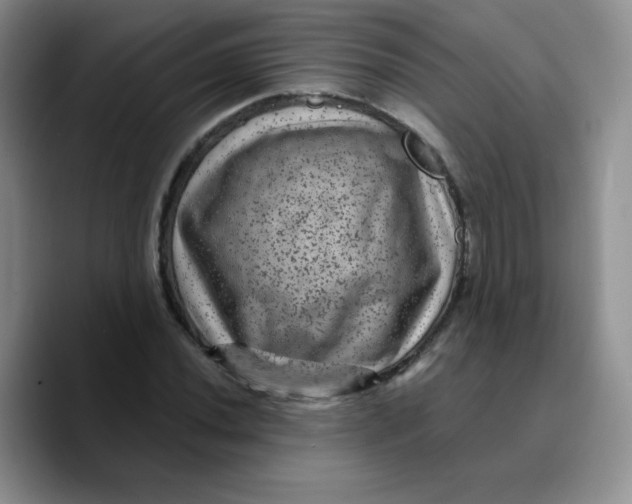 X0000089701020200707201736