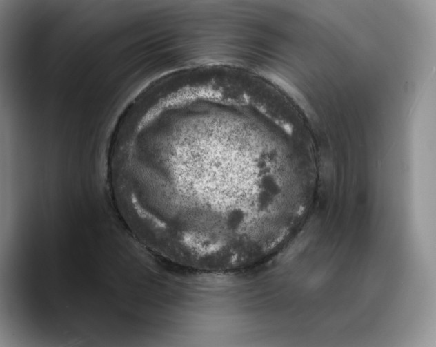X0000089701023200707201736