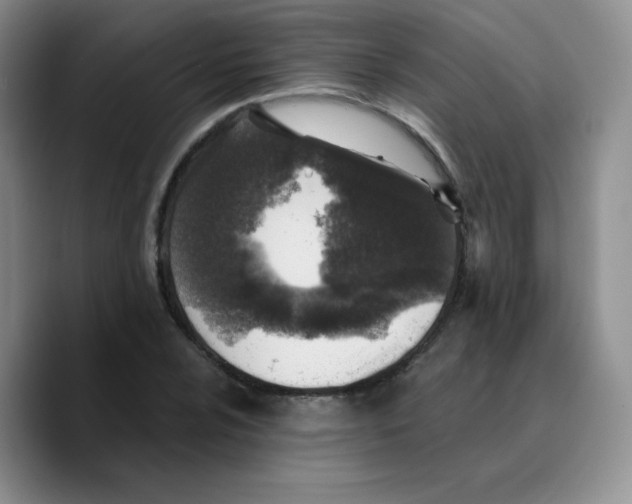 X0000089701024200707201736