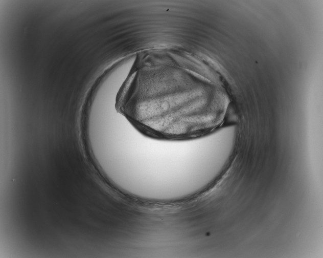 X0000089701026200707201736