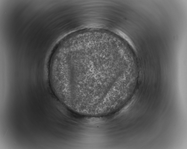 X0000089701027200707201736