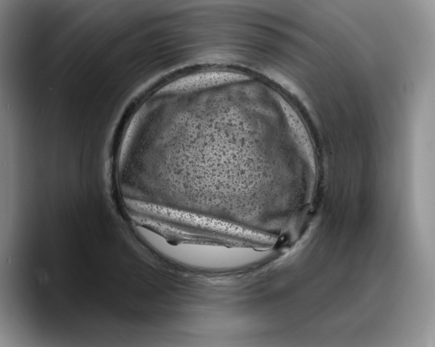 X0000089701029200707201736