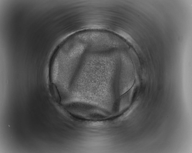X0000089701030200707201736
