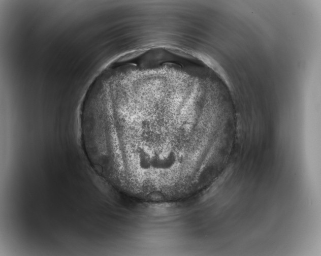 X0000089701031200707201736