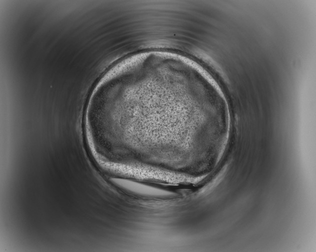 X0000089701033200707201736